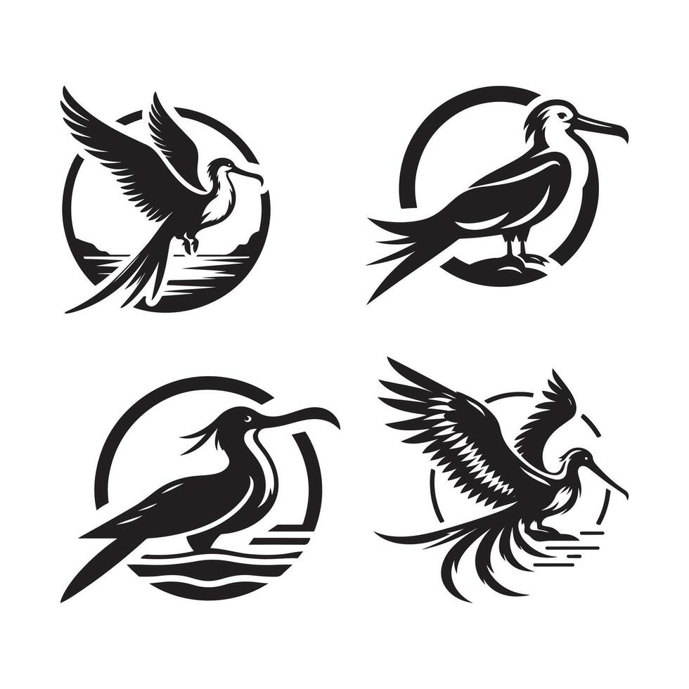 frigatebird artwork image vector
