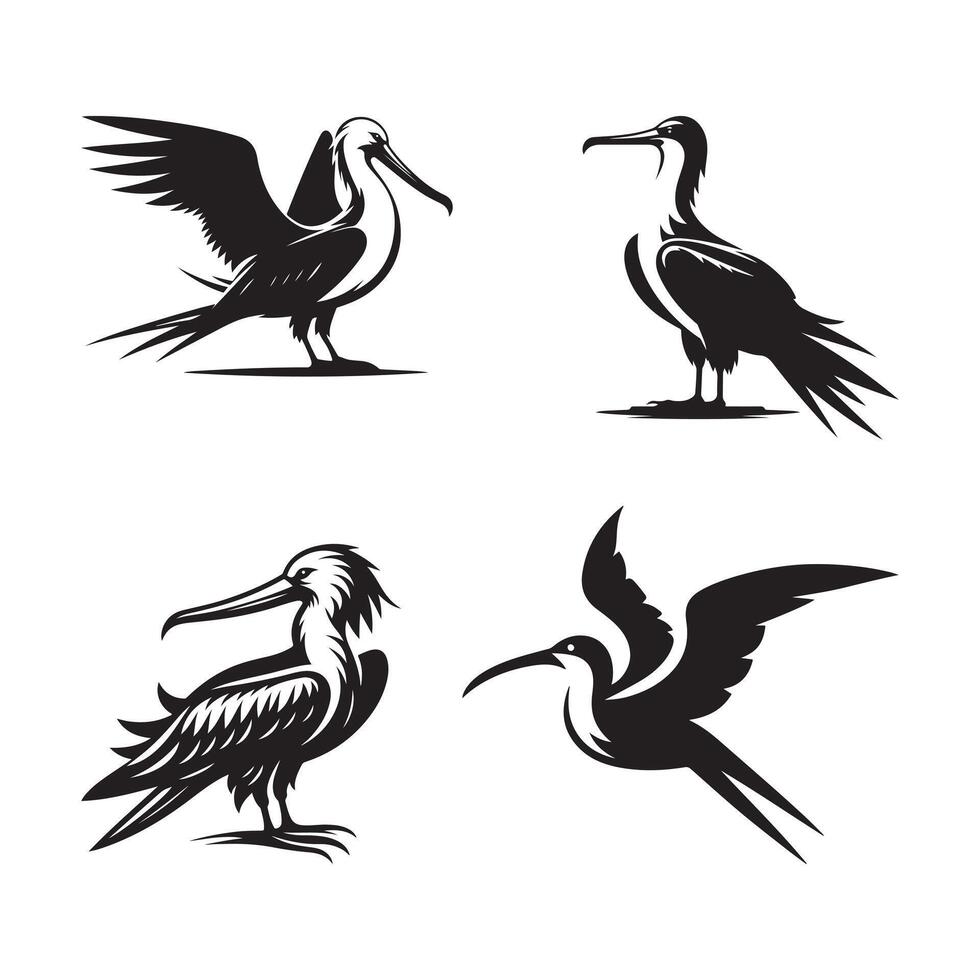frigatebird art image vector