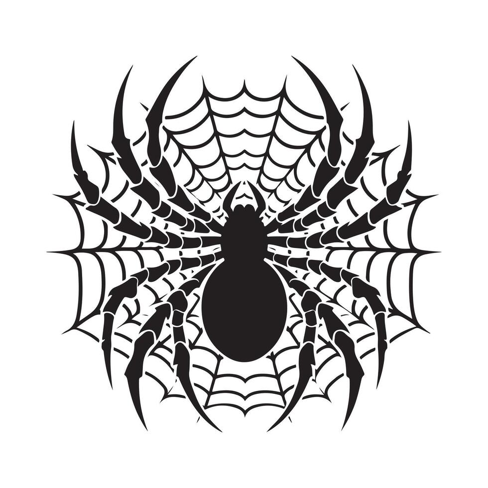 spider web art illustration vector