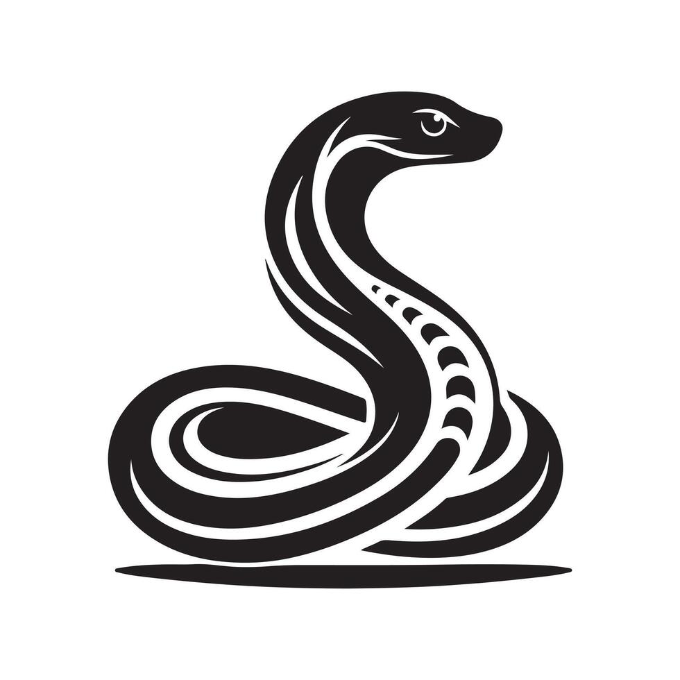 Snake Boa Constrictor Graphic vector