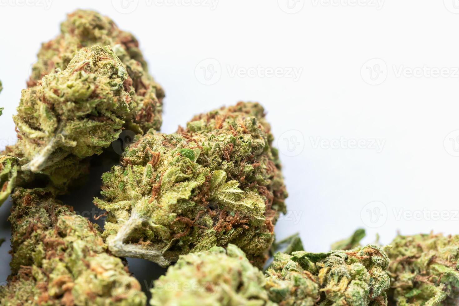 Detailed macro photo of dense cannabis buds with visible trichomes on white background. Concept of medicinal marijuana or natural remedies. Closeup of cannabis flower buds