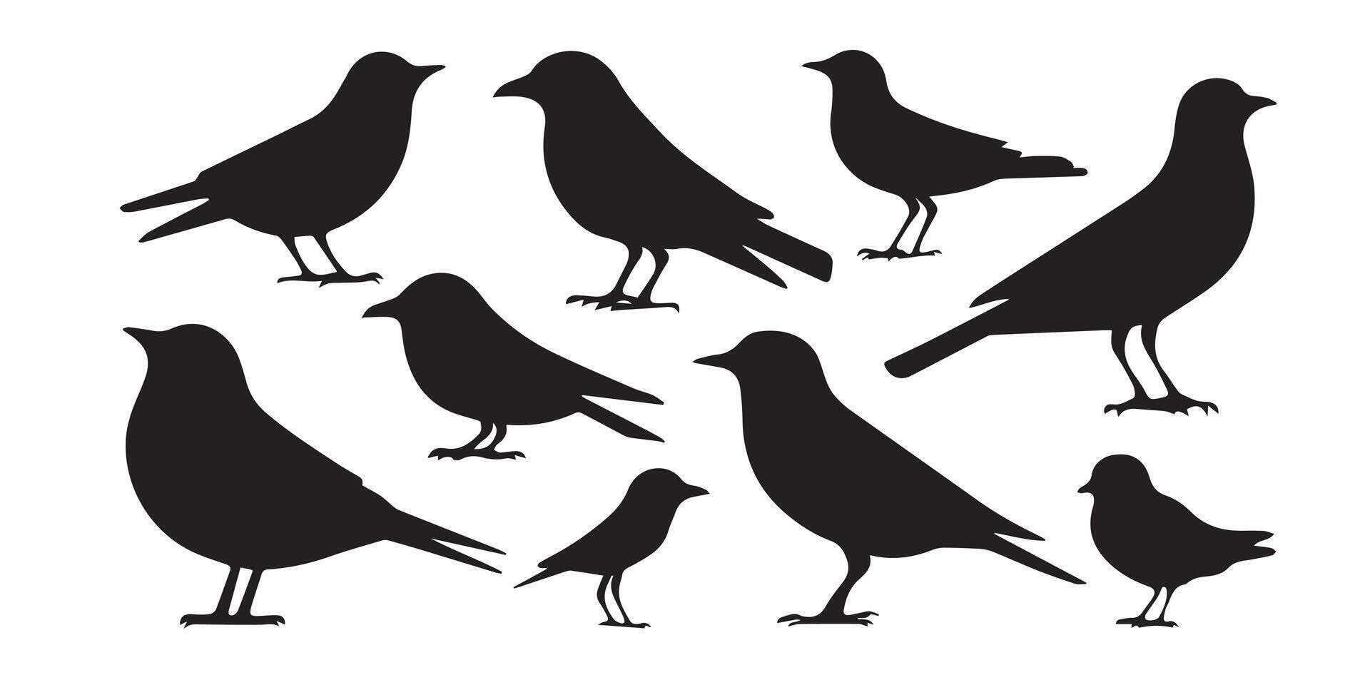 Crow Bird Silhouettes in Black and White Minimalist Illustration for Avian and Ornithological Art vector