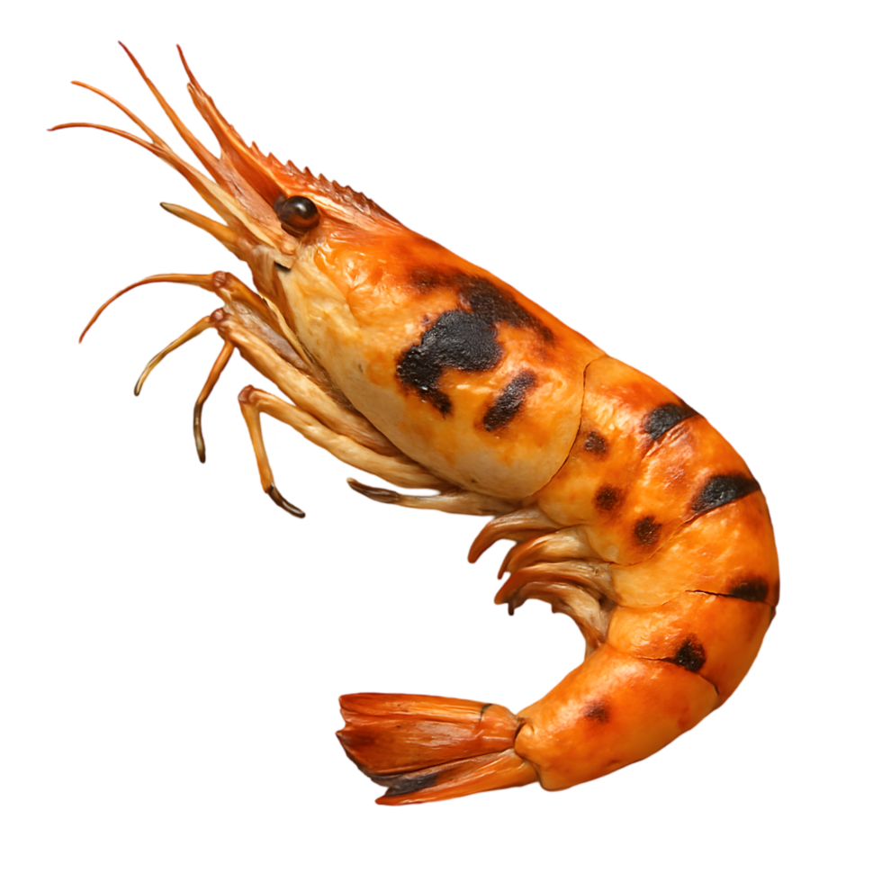 Transparent background shrimp on display culinary delight high-quality image focused view png