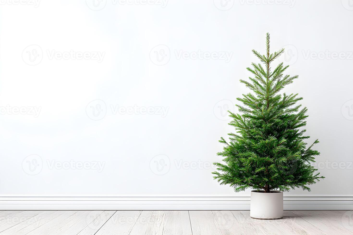 Empty wall blank copy space featuring a potted tree in a minimalist room with wooden flooring and a bright atmosphere photo