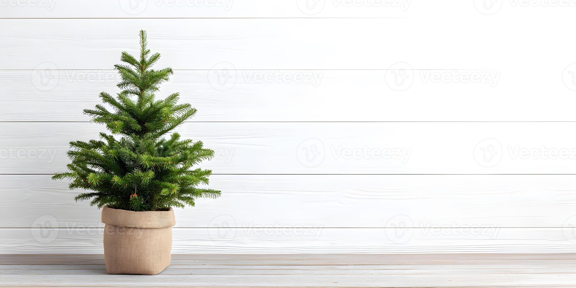 Empty wall with blank copy space and a green Christmas tree in a light-toned room photo
