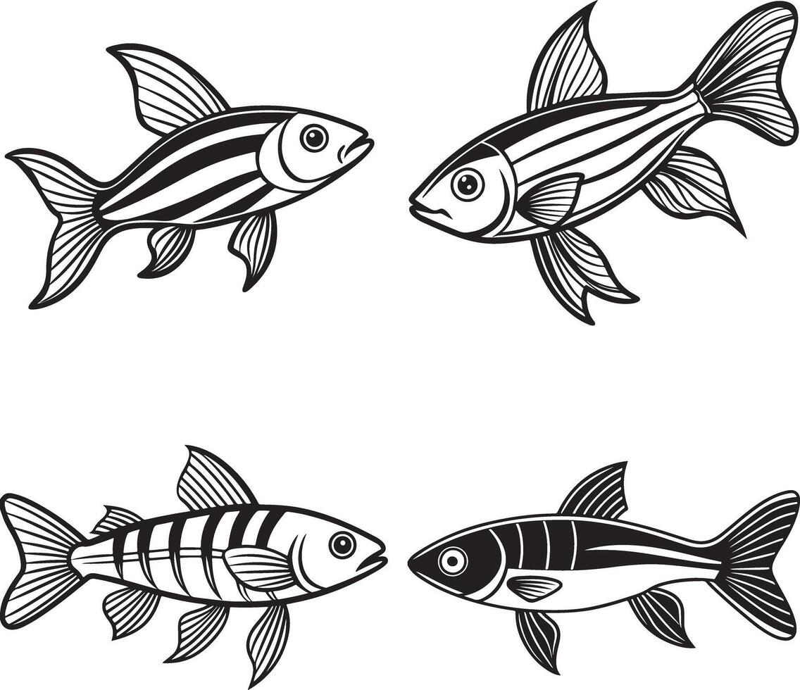 sind danio fish illustration design vector