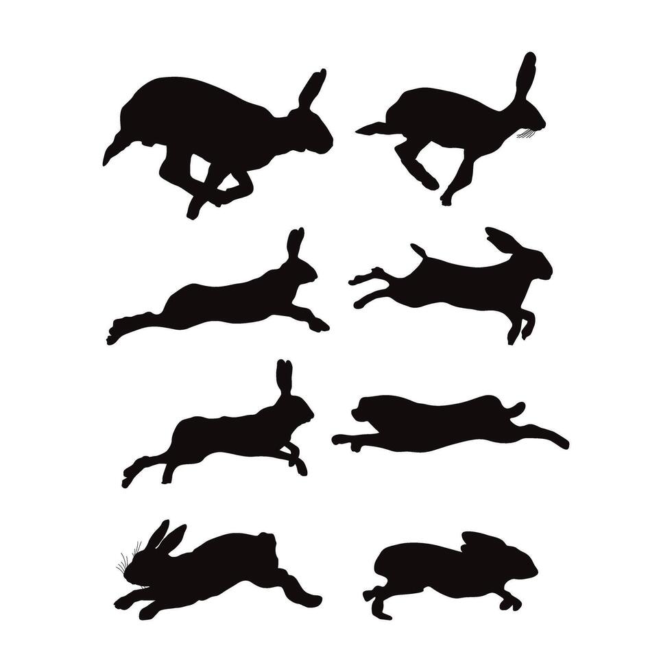 Rabbit Silhouette Holland lop rabbit vector