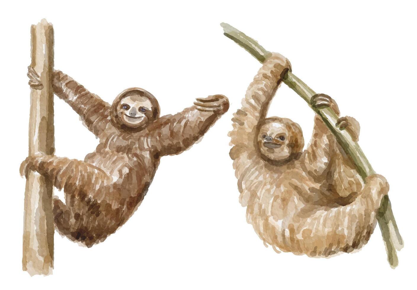 Watercolor set of sloth for logo, invitations and more vector