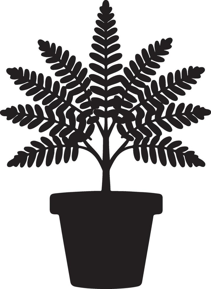 Silhouette illustration of a fern plant with detailed fronds in a pot on a white background vector