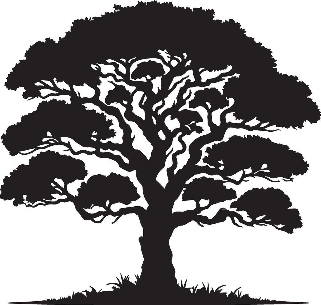 A silhouette of a large tree with dense foliage and a thick trunk standing on a grassy surface vector