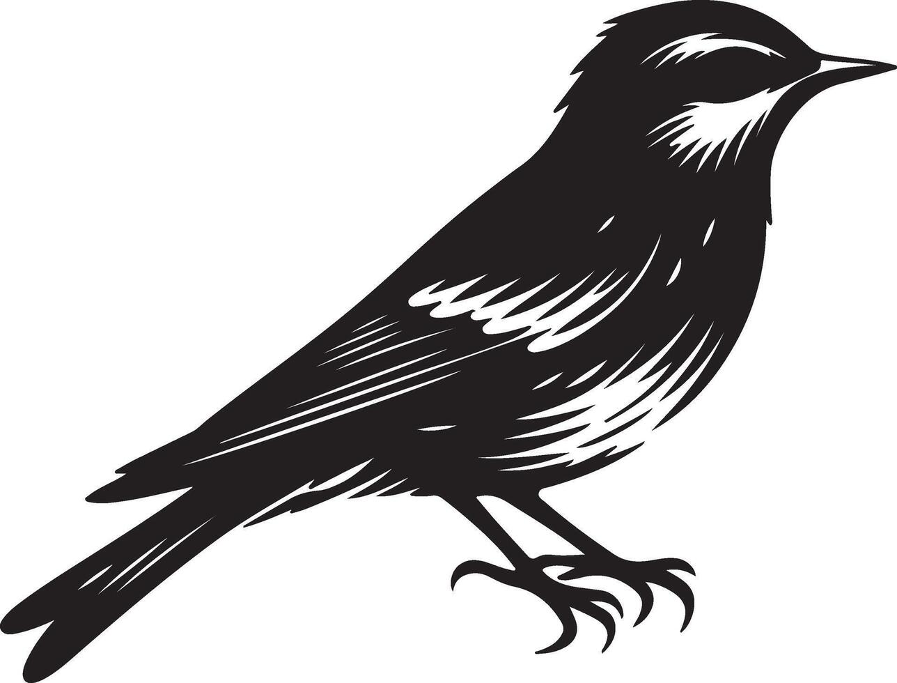 A black silhouette of a small bird with detailed feathers standing on its feet on a white background vector
