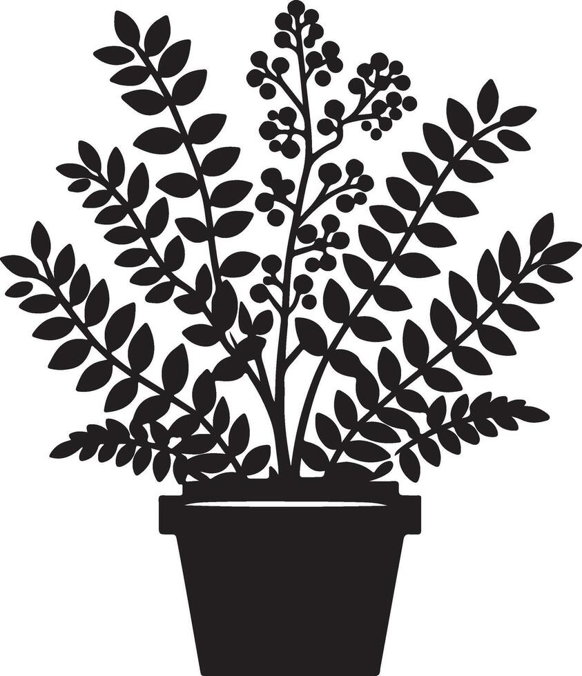 Silhouette of a potted plant with leafy branches and clusters of berries against a white background vector