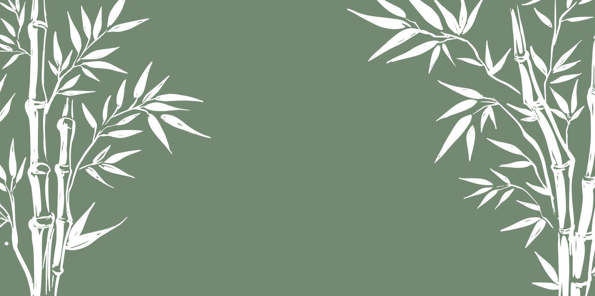 Bamboo tree frame on green, Hand drawn style vector