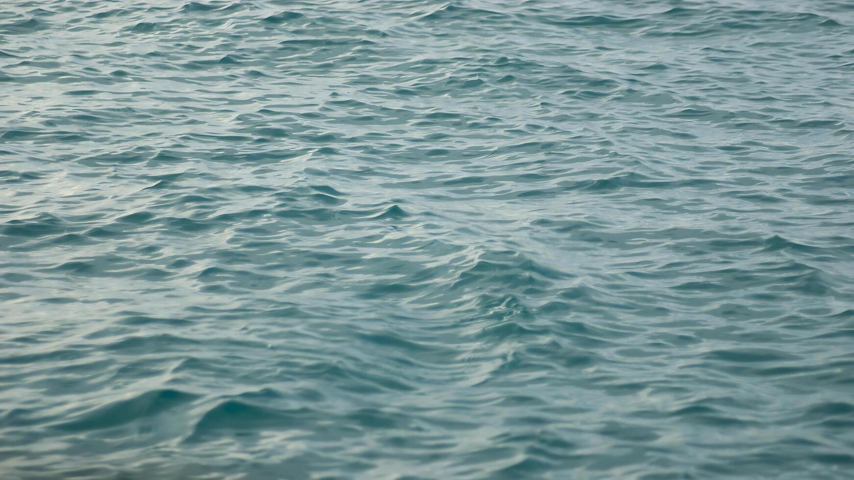 A person is standing on the water with a surfboard photo