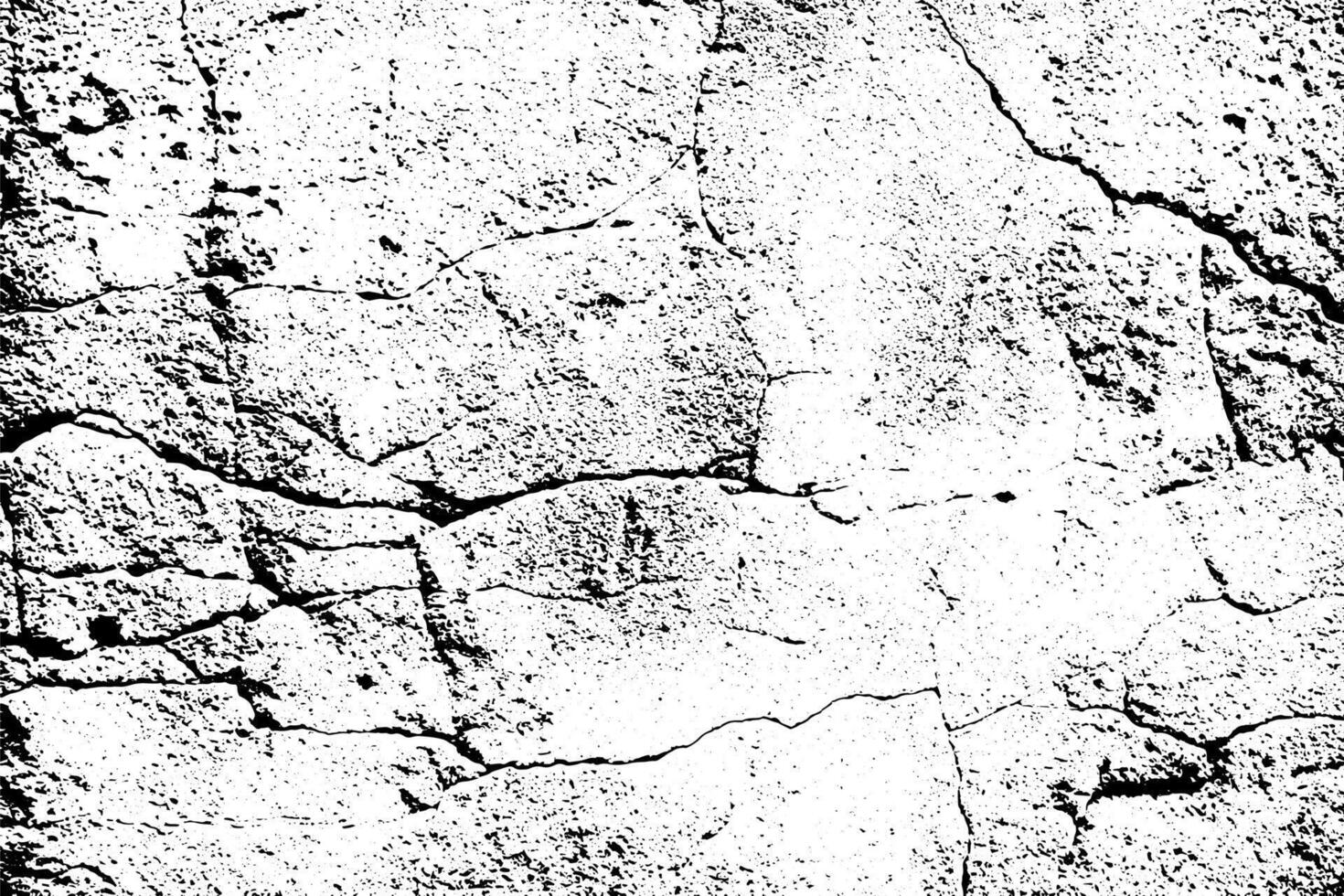 Cracks concrete texture white and black background vector