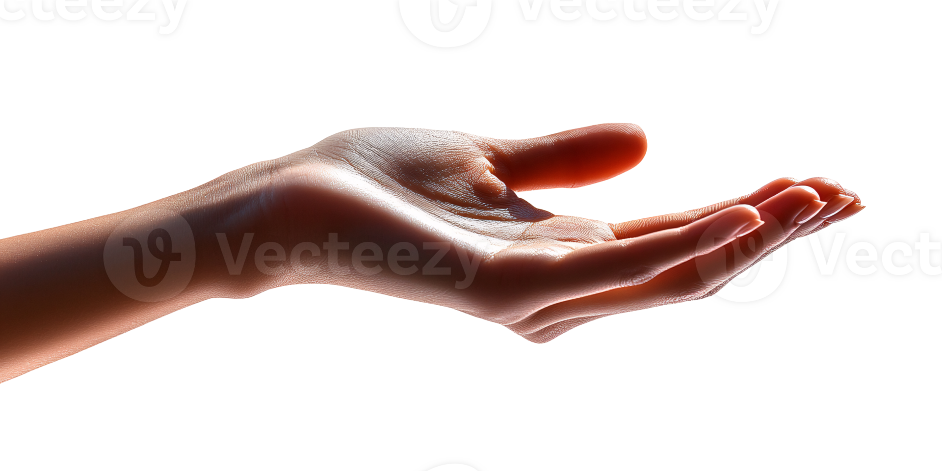 Caucasian womans open hand on transparent background, offering or receiving gesture Concept of giving, support, hope, and generosity png