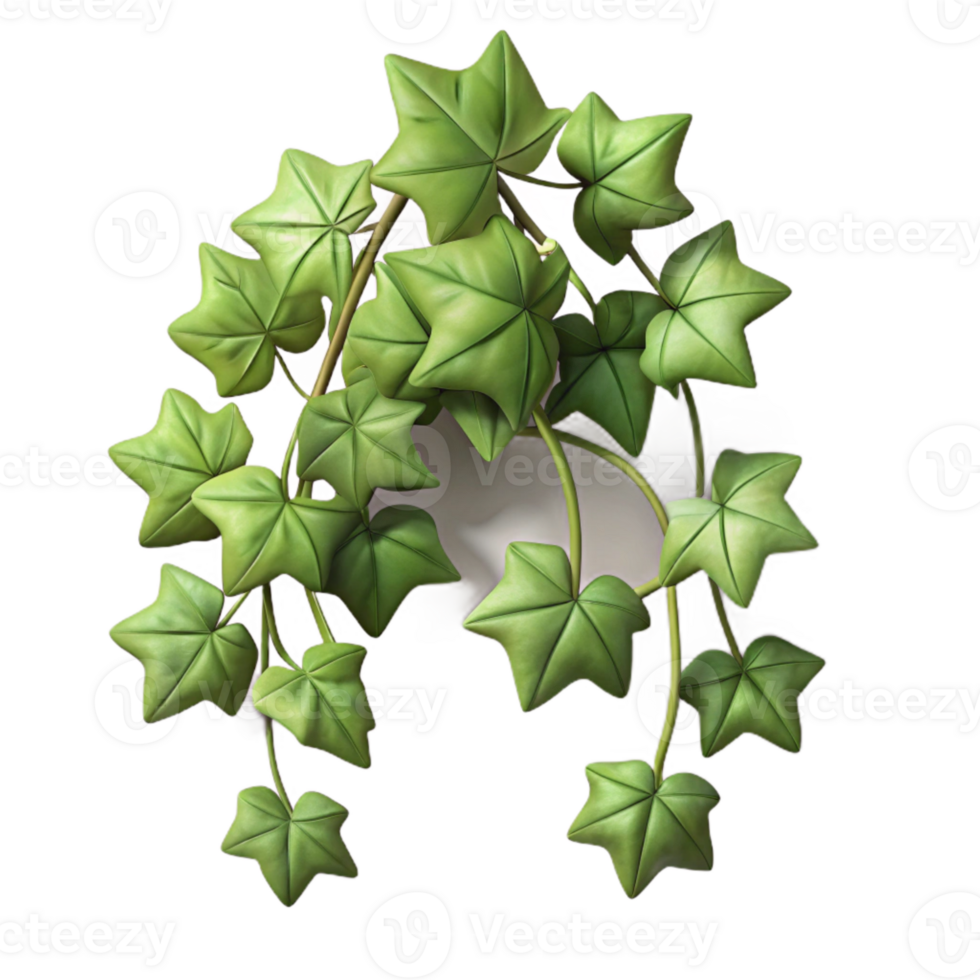 beautiful contemporary Realistic Ivy Vines Cutout with Shadow Detail premium png