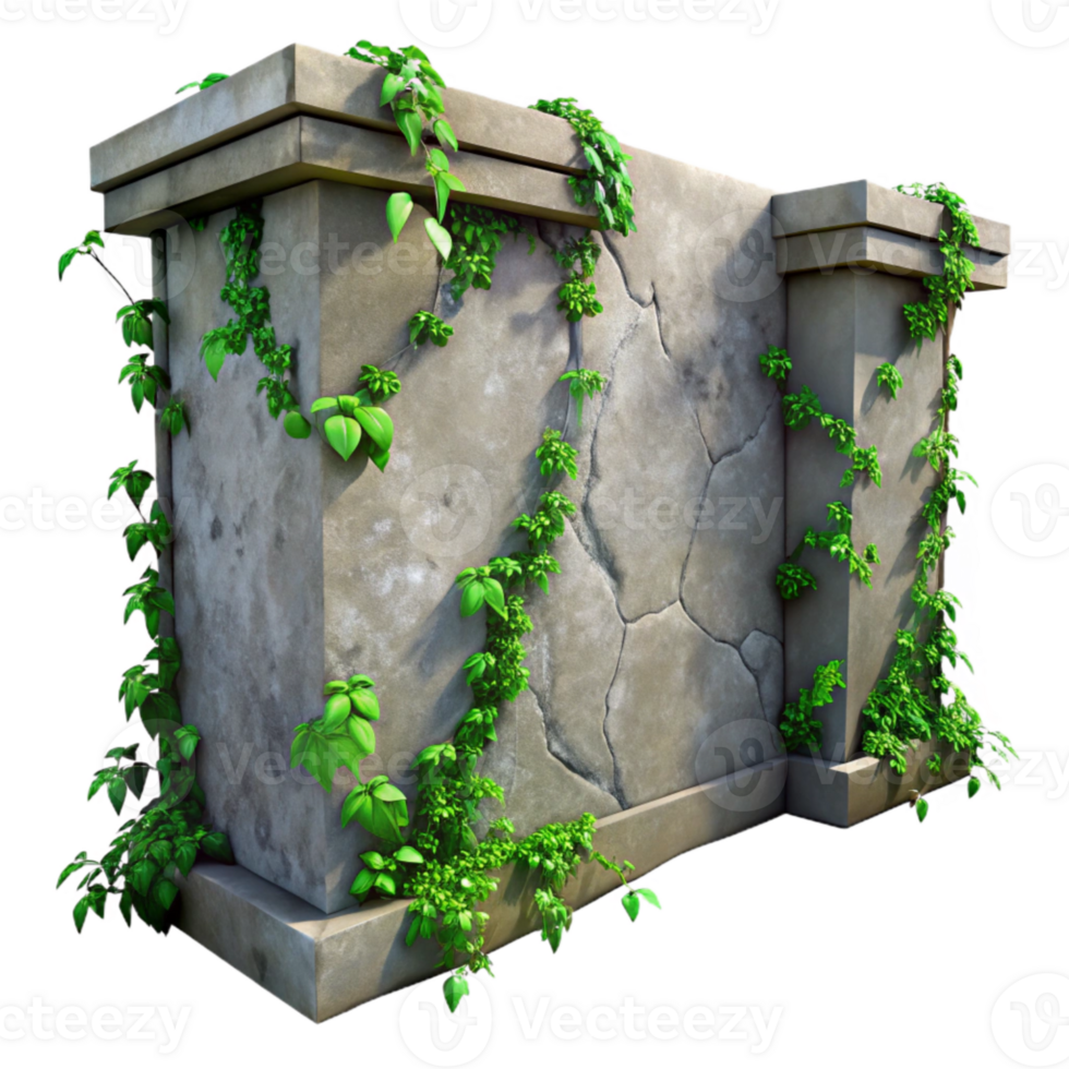 beautiful modern Weathered Concrete Wall with Green Vines Cutout exclusive png