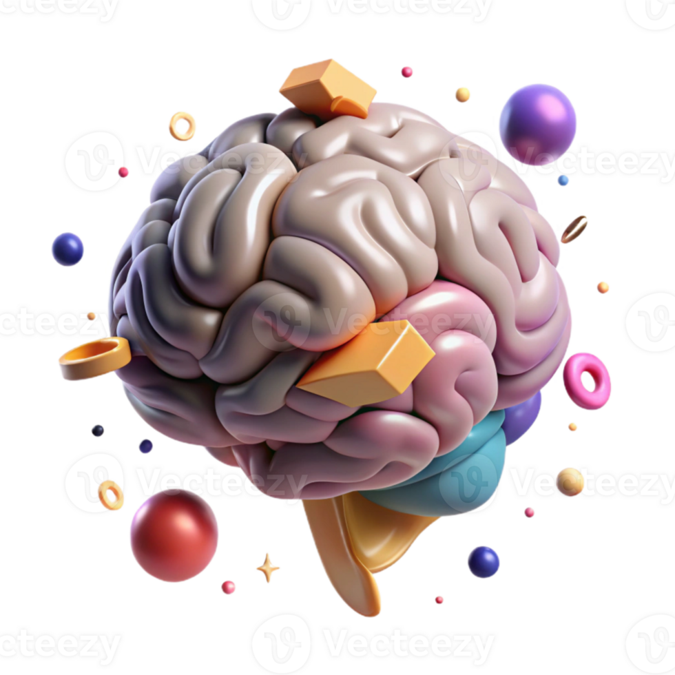 elegant contemporary Brain Anatomy Model Transparent Background genuine png