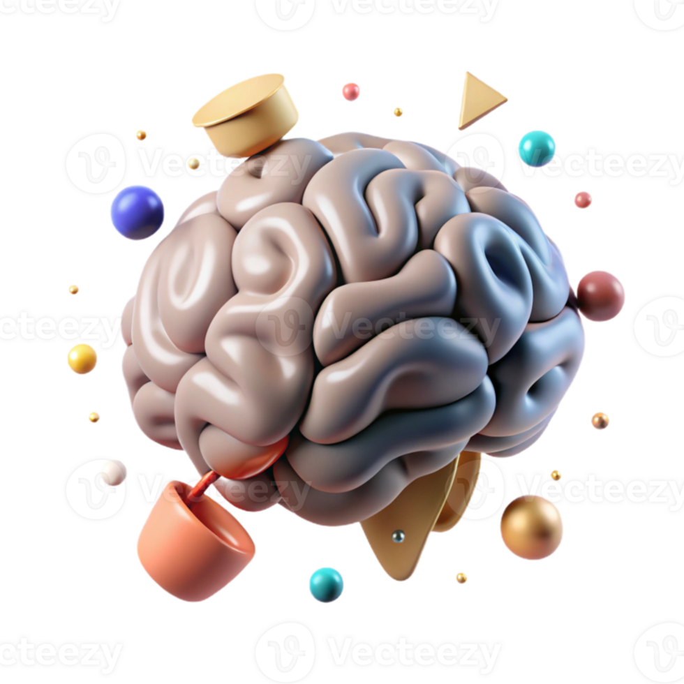 magnificent contemporary Brain Anatomy Sketch Isolated on White genuine png