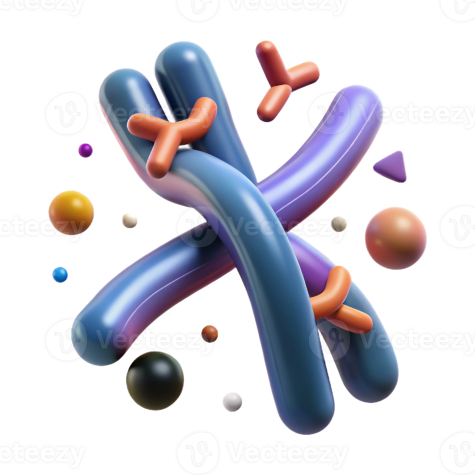 beautiful rustic Human Chromosome Structure Diagram Illustration Transparent high resolution png