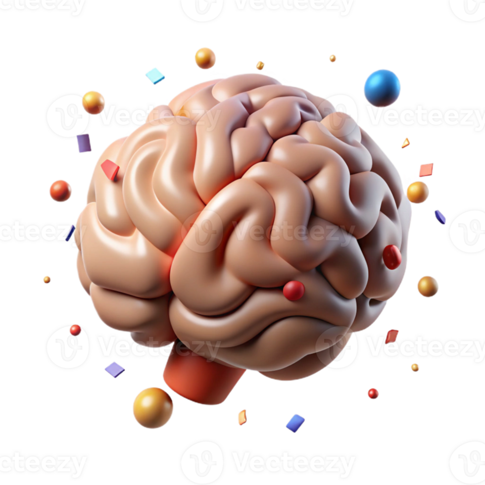 magnificent traditional Brain Scan 3d Model Rotating View Transparent Background authentic png