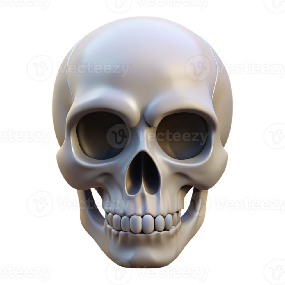 inspired nordic Symmetrical silhouette of a human skull. Single-weight stroke, minimal design with Scalable Design. expertly shot png