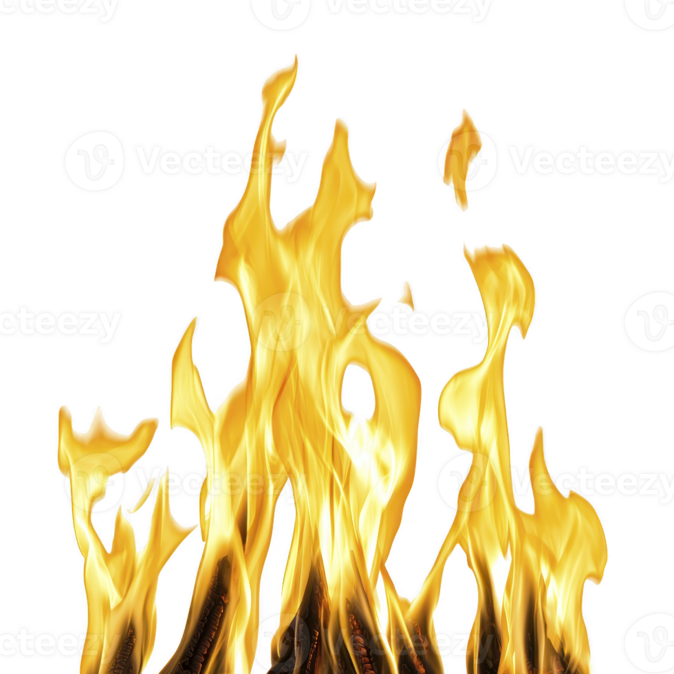 A Flames dance with vibrant energy against transparency background, creating dynamic and intense visual. fiery display showcases natural beauty and power of fire png