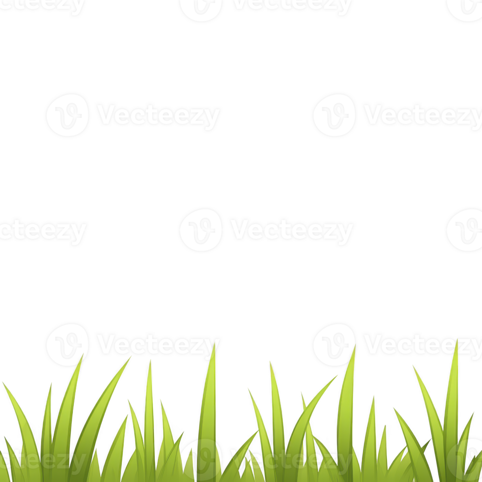 A vibrant illustration of green grass blades against transparency background, showcasing fresh and lively appearance. grass is depicted natural, upward growing pattern, creating sense of growth png