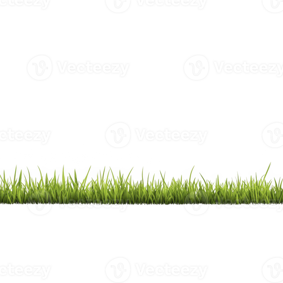 A lush, green grass border against transparent background, perfect for design projects needing natural touch. vibrant blades of grass create fresh and lively atmosphere png