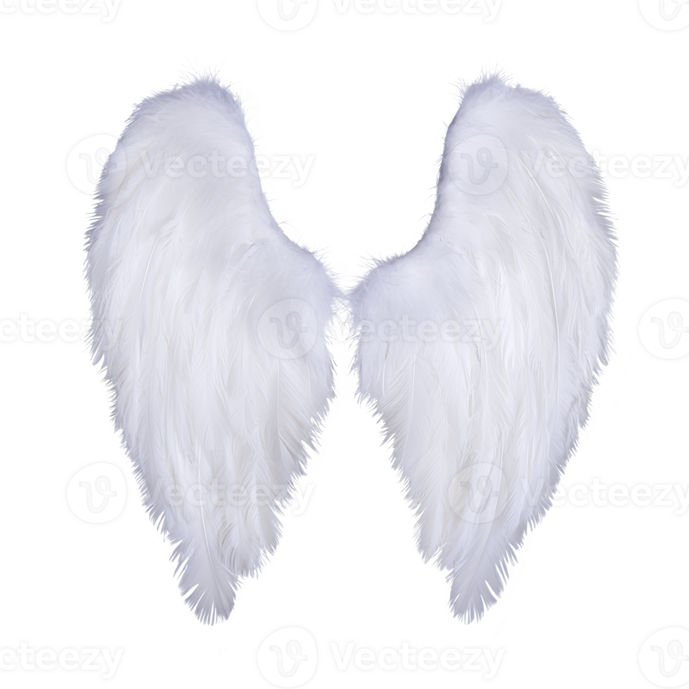 A pair of large, fluffy white angel wings with soft feathers, isolated on transparent background, evokes sense of purity and grace png