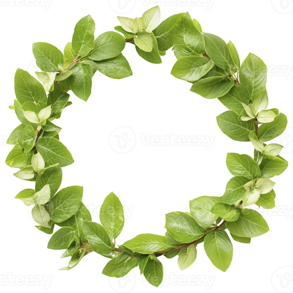 A vibrant green leaf wreath arranged in circular shape, symbolizing nature and freshness. lush leaves are closely intertwined, creating seamless and harmonious design png