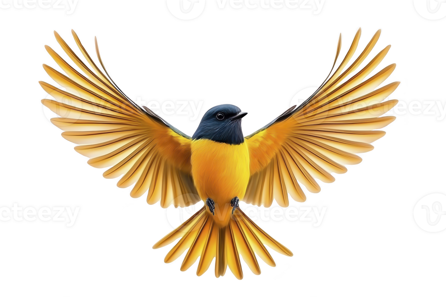 A vibrant bird with outstretched wings displays striking combination of blue and yellow feathers, creating sense of freedom and grace. detailed plumage and dynamic pose capture essence of flight png
