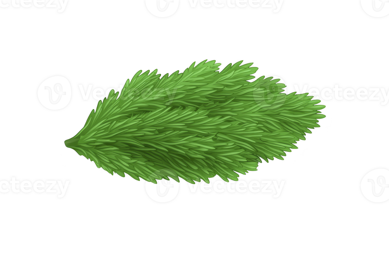 A vibrant green pine leaf with detailed needle like structures, showcasing natural beauty and texture. leaf is isolated on transparency background, emphasizing its lush color and intricate design png