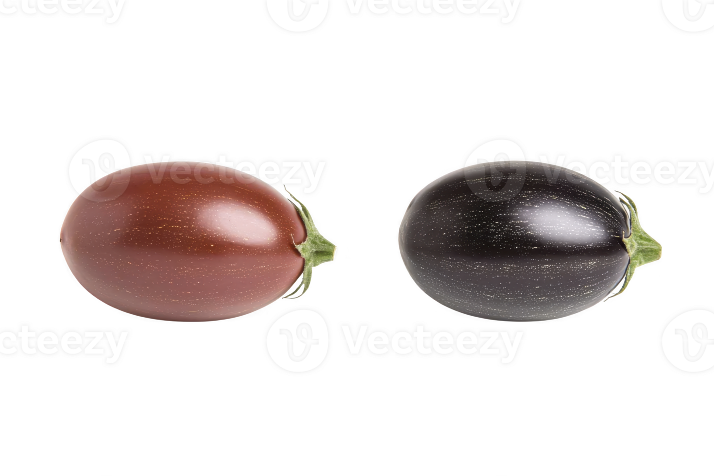 A Two eggplants, one brown and one dark purple, are placed side by side on transparency background, showcasing their glossy textures and green stems png