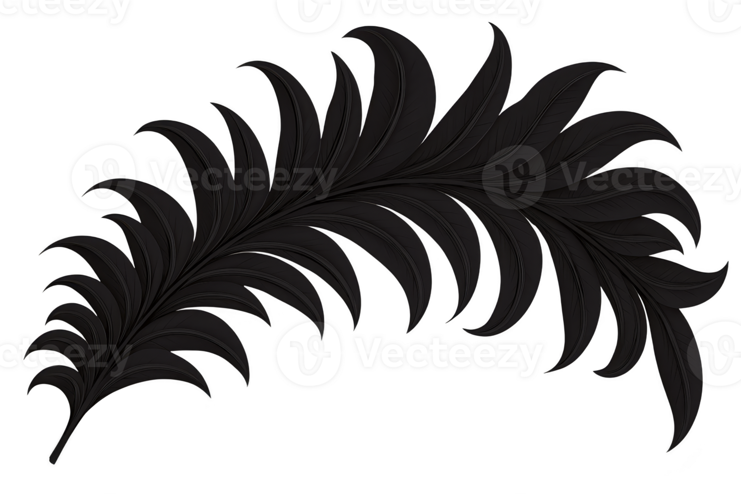 A black silhouette of feather with curved shape and pointed tips, resembling stylized or artistic design. feather intricate details and elegant form create sense of movement and grace png