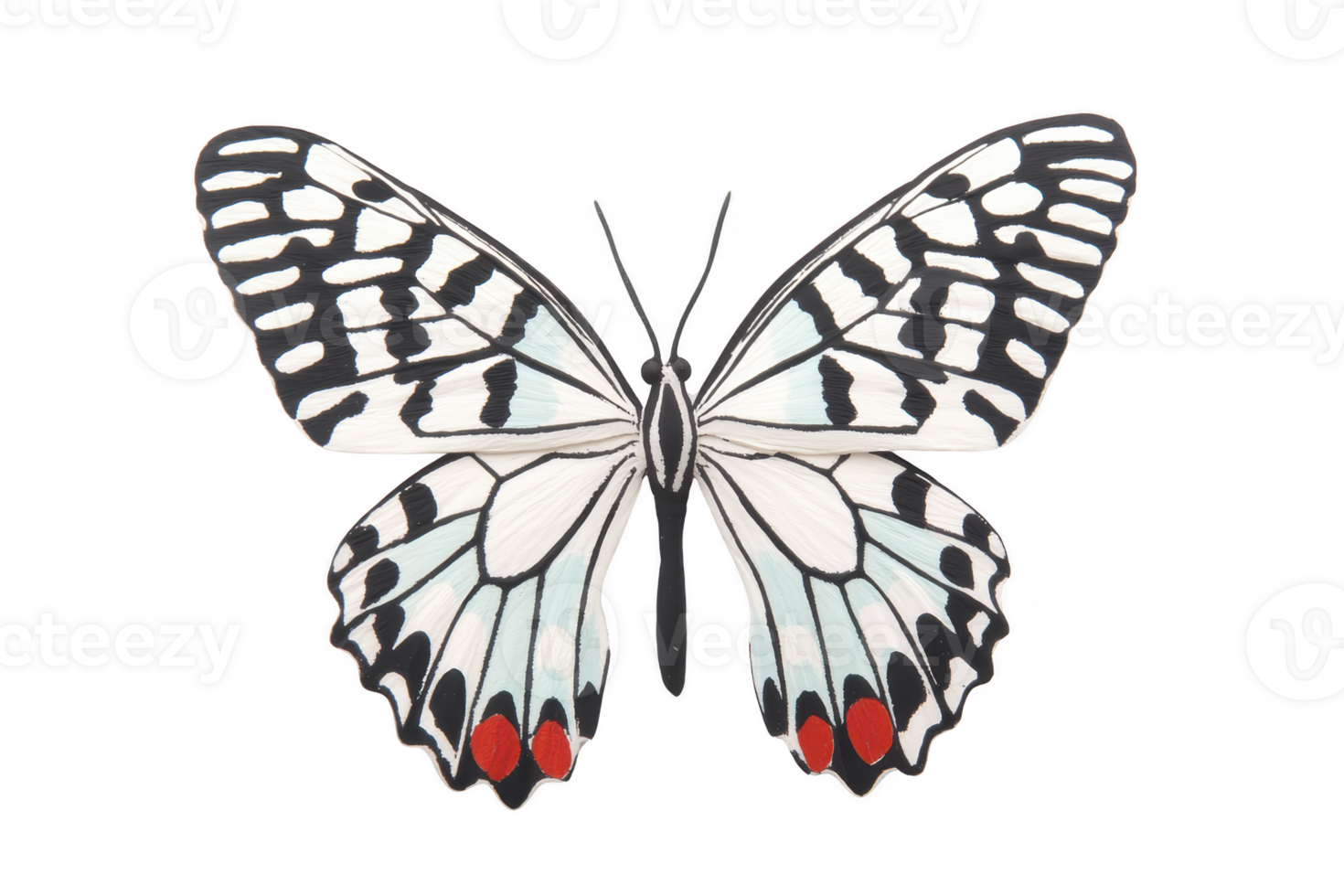 A beautifully patterned butterfly with black and white wings, accented by red spots, is displayed on transparency background, showcasing its intricate design and delicate structure png