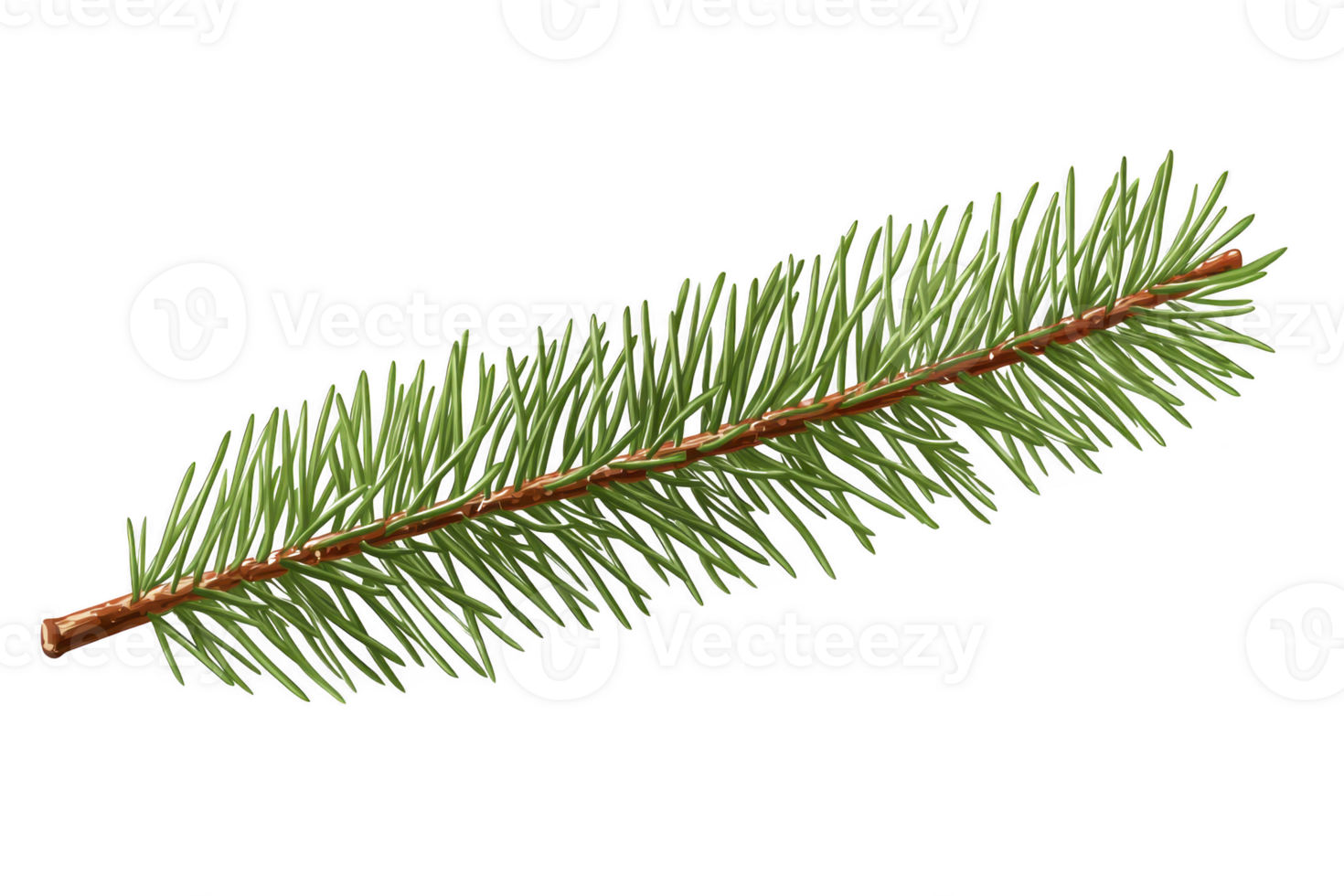 A single green pine needle branch with brown stem, showcasing natural texture and vibrant color of needles. branch is isolated on transparency background, highlighting its details png