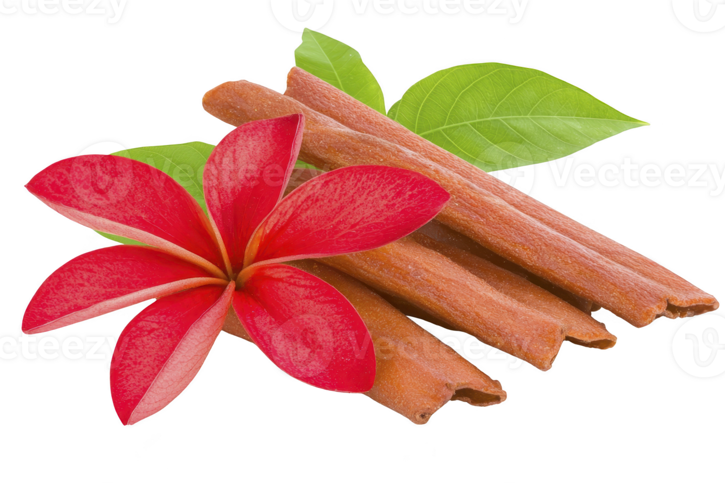 A Cinnamon sticks and vibrant red flower with green leaves create striking and aromatic composition. natural elements evoke sense of warmth and freshness png