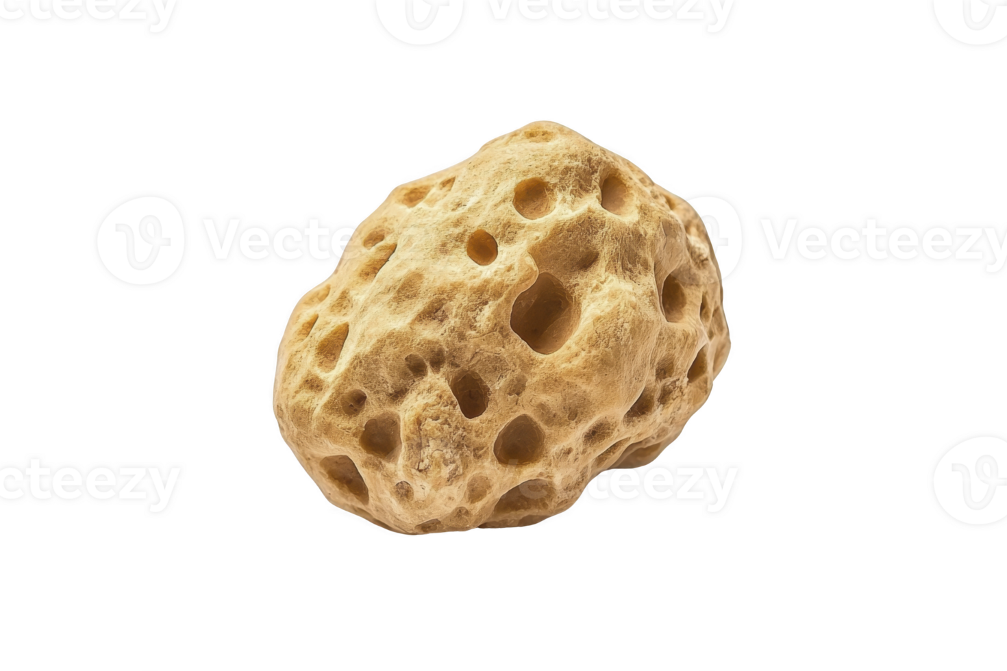 A natural sea sponge with porous texture and irregular shape, ideal for gentle exfoliation and cleaning. Its earthy tones and organic form make it versatile tool for skincare routines png