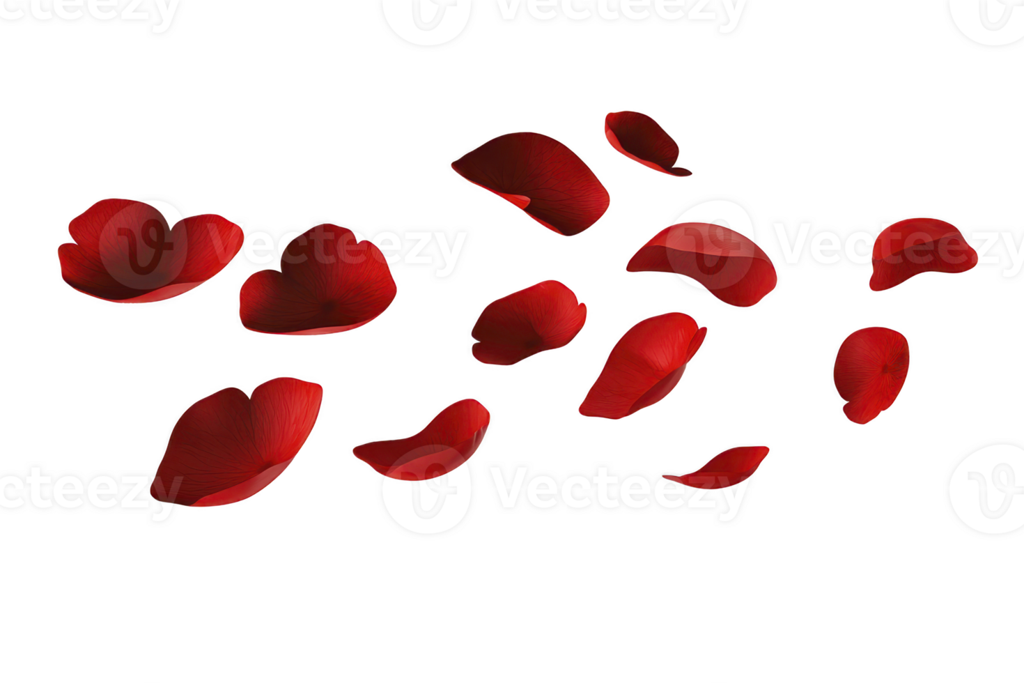 A Red rose petals scattered on transparency background create romantic and delicate atmosphere, perfect for themes of love and beauty. vibrant red color adds touch of elegance and passion png