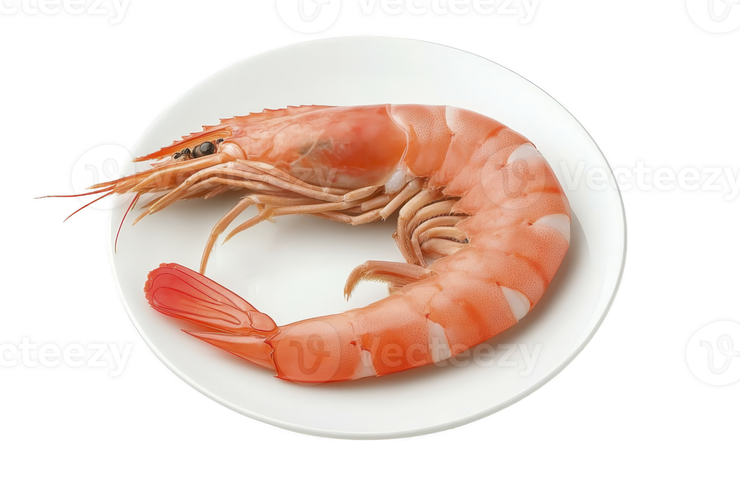 A cooked shrimp is elegantly presented on white plate, showcasing its vibrant orange color and detailed texture. simplicity of presentation highlights shrimp natural beauty and freshness png