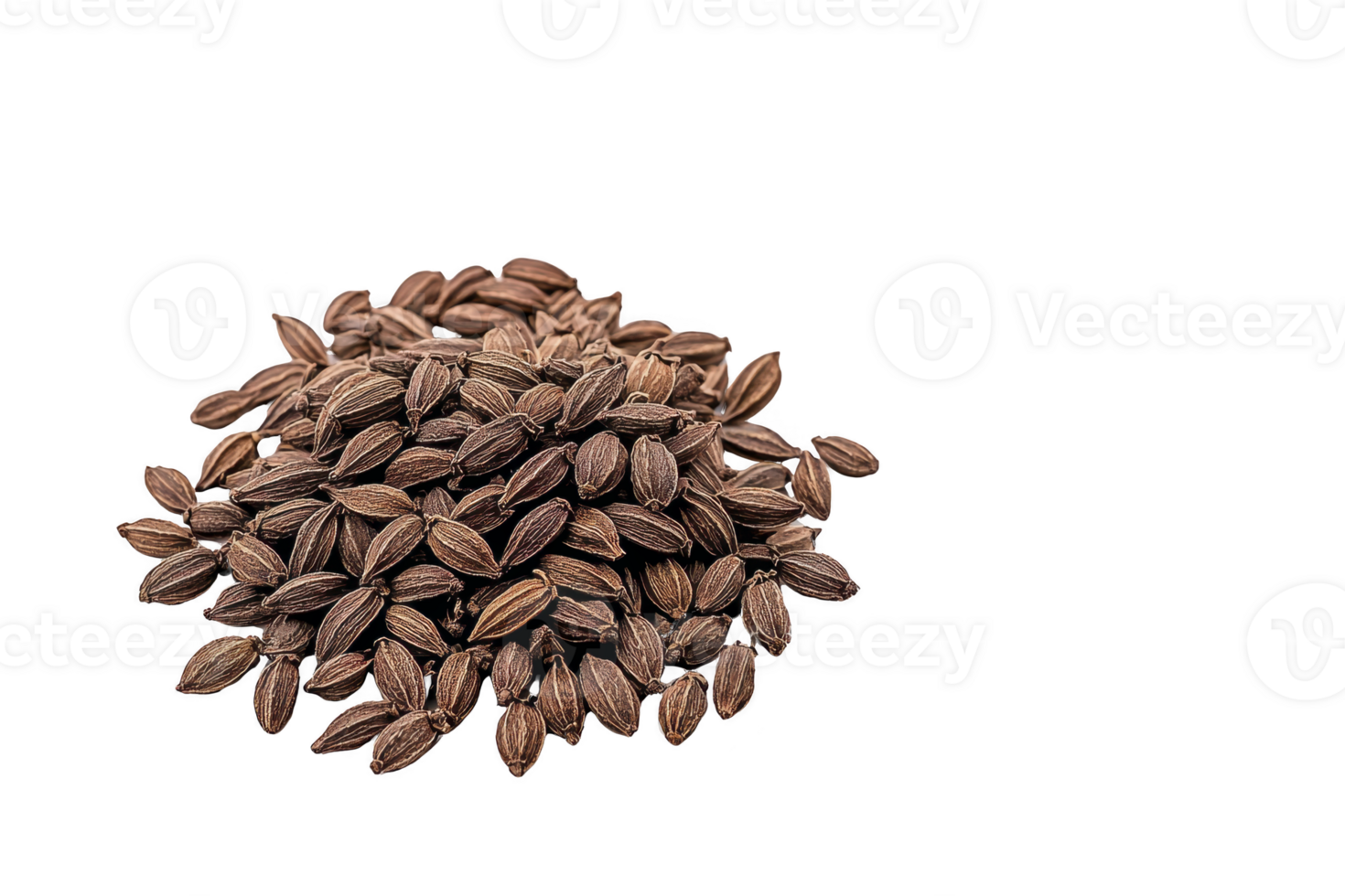 A pile of dried watermelon seeds is displayed against transparency background, showcasing their textured brown shells. These seeds are often used for snacking or culinary purposes png