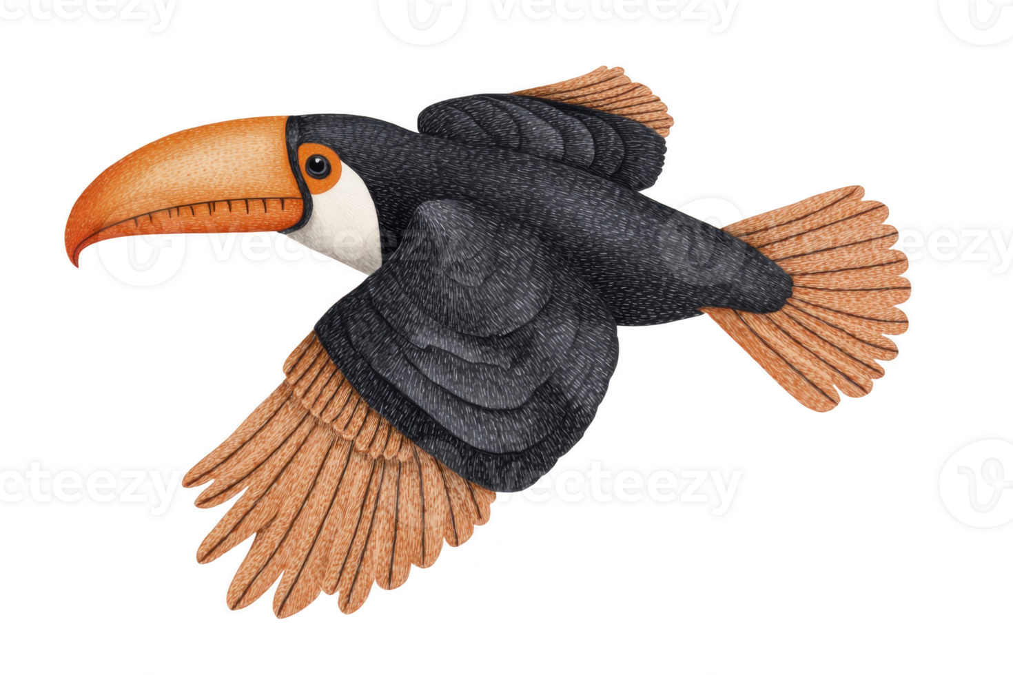 A colorful toucan with large orange beak and black feathers is depicted mid flight, showcasing its vibrant plumage and distinctive features. bird wings are spread wide, highlighting its graceful png
