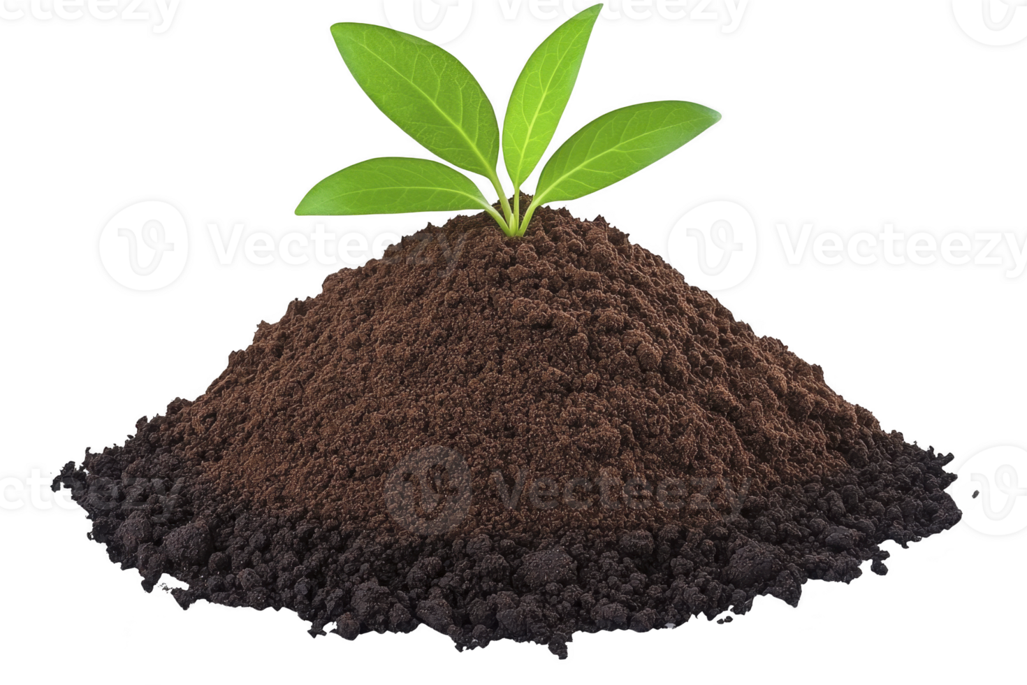 A small green plant with vibrant leaves emerges from mound of rich, dark soil, symbolizing growth and new beginnings. fresh, healthy appearance of plant conveys sense of hope and renewal png