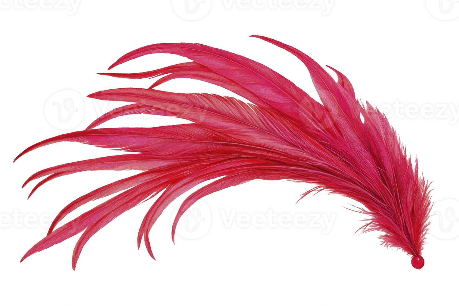 A vibrant red feather with delicate, flowing strands creates sense of elegance and movement, perfect for artistic and decorative purposes png