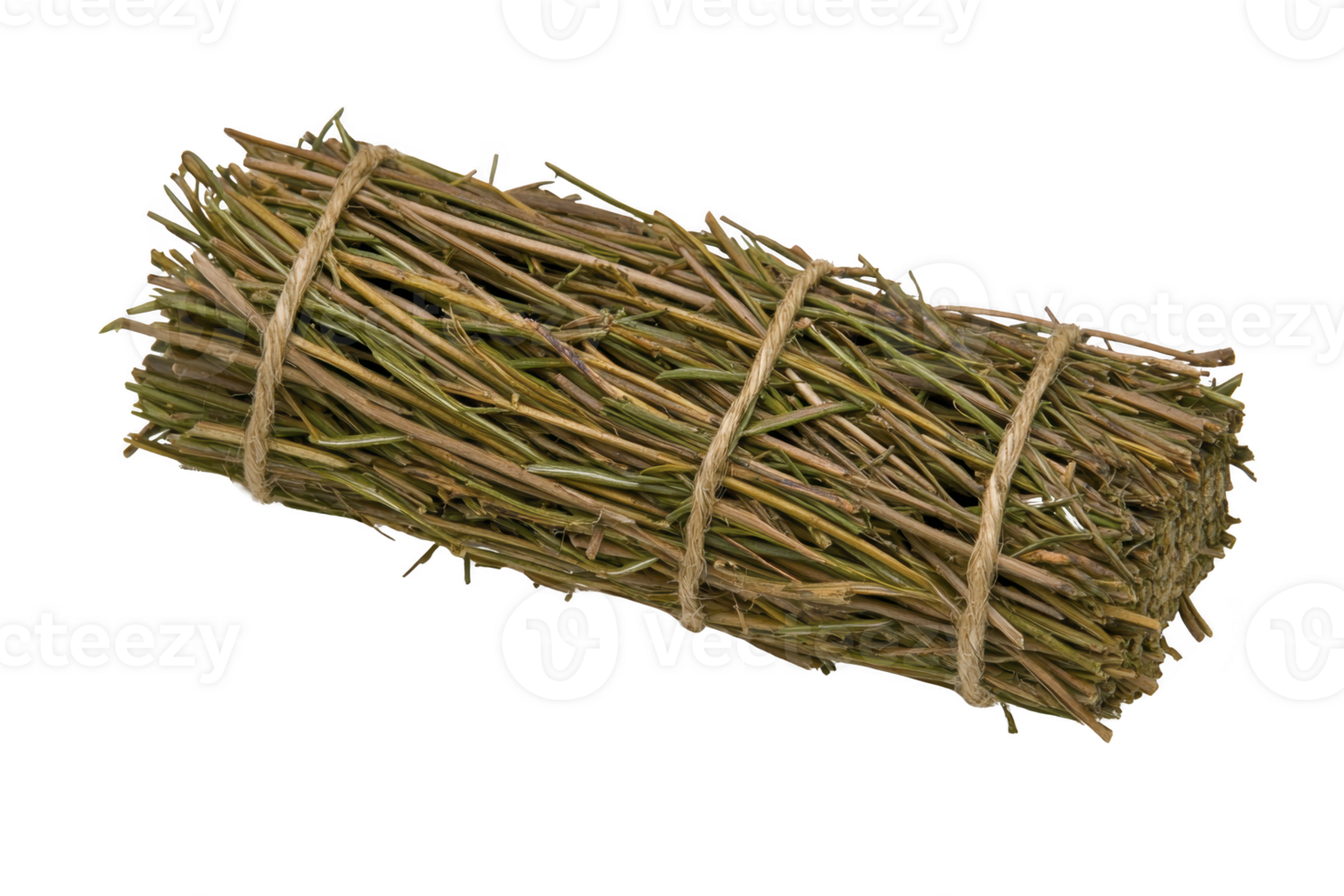 A bundle of dried twigs tied together with natural rope, showcasing rustic and earthy appearance. twigs are neatly arranged, highlighting their natural texture and color png