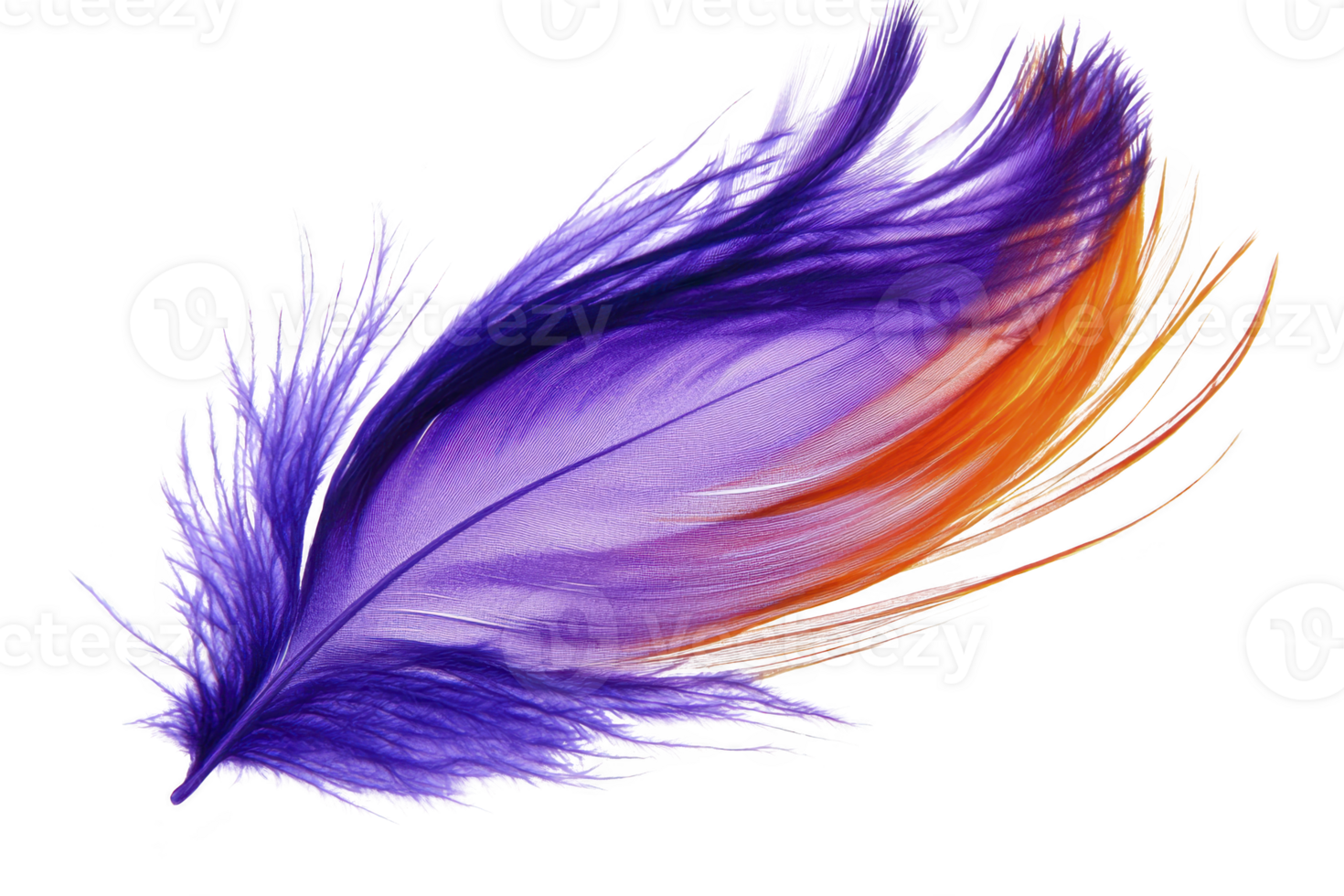 A vibrant, colorful feather with blend of purple and orange hues, showcasing intricate details and soft, delicate texture. feather dynamic shape and vivid colors create sense of movement png