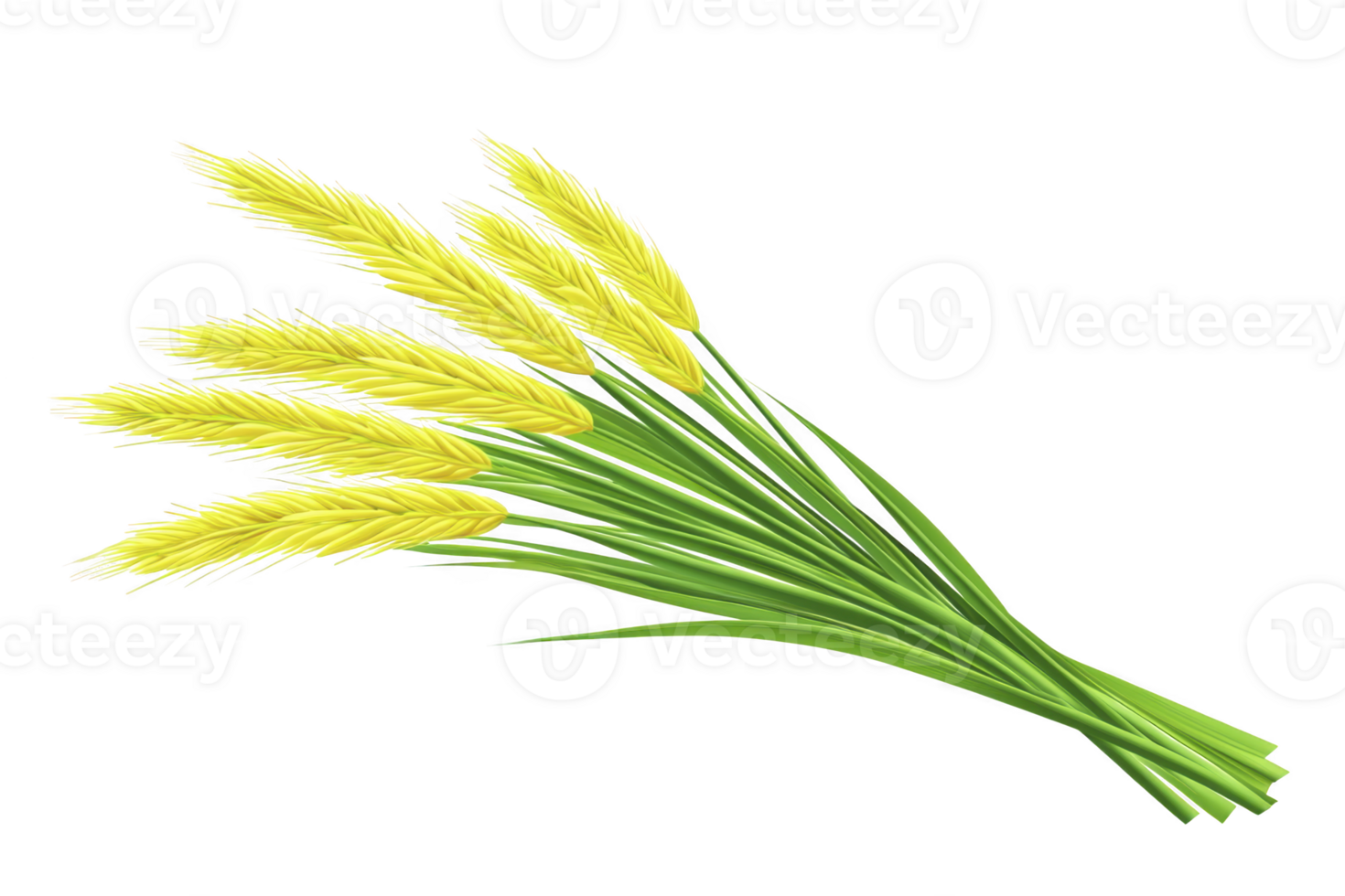 A bundle of vibrant yellow wheat stalks with lush green stems, symbolizing harvest and abundance, isolated on transparency background. Perfect for agricultural themes png