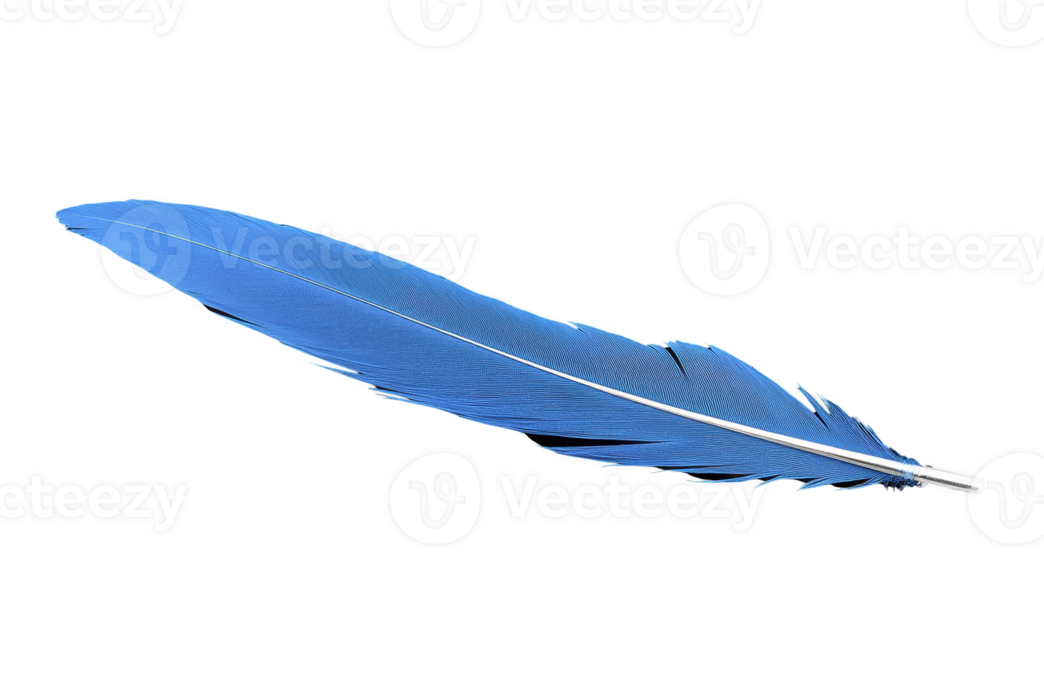A single vibrant blue feather with smooth texture and delicate structure, isolated on transparency background, symbolizing lightness and freedom png